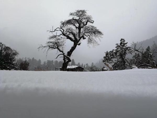 徐州经开区金龙湖街道：坚持强化素质建设 提升执法能力水平