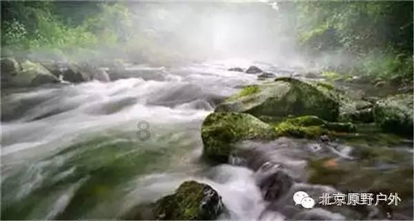 三毛为什么要结束自己的生命?游戏画面